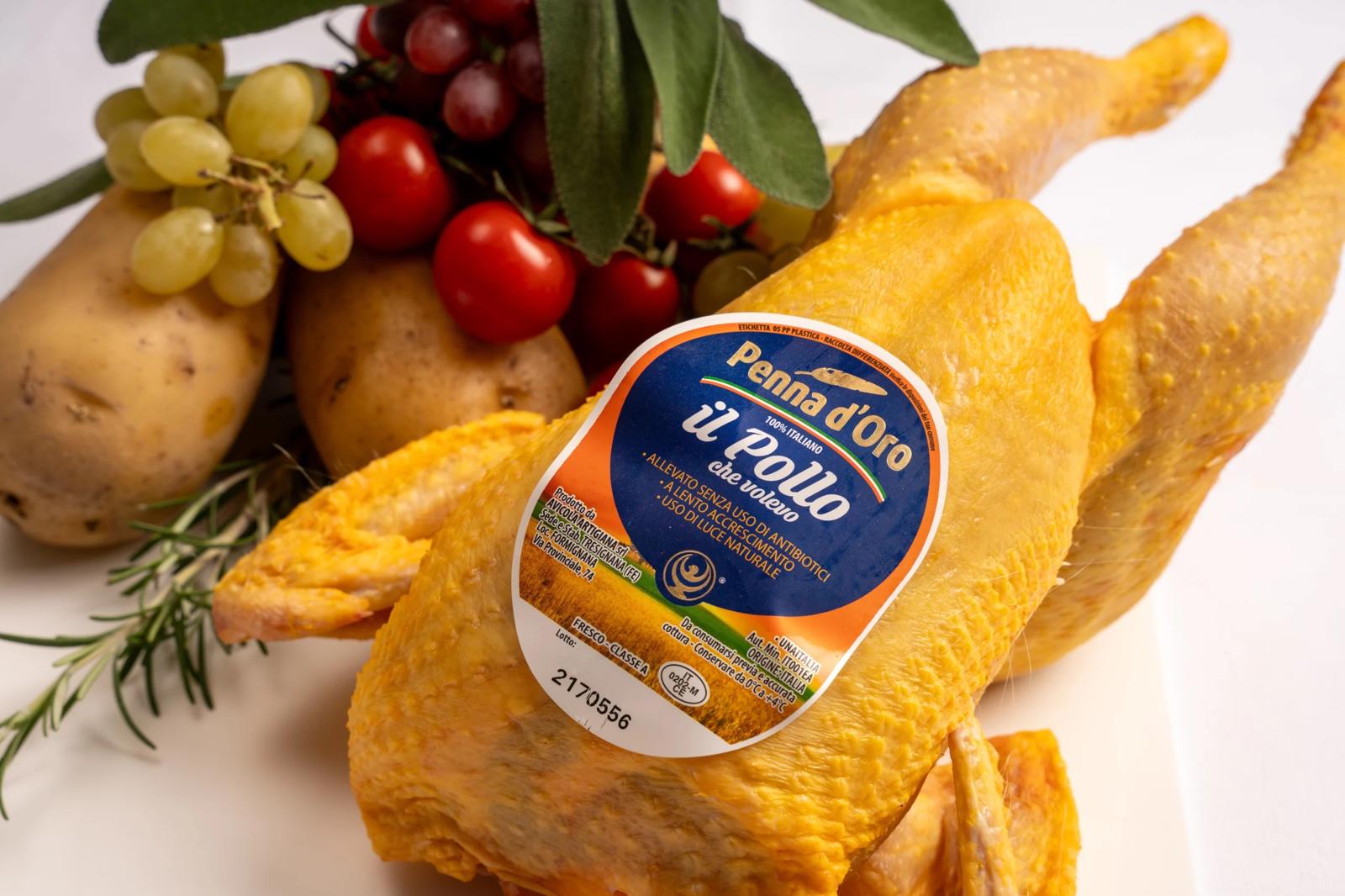 Pollo Penna d’Oro
